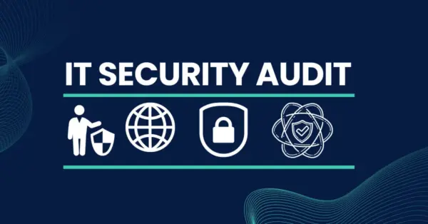 Cybersecurity Audit